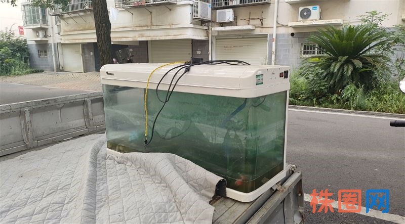 代扔淘汰的家具， 帮美女从六楼扛下来处理。 顺便收了几个老年机。 需要代扔旧家具的滴滴我